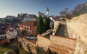 Apartmán U Gotického dvojčete